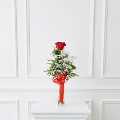 Single red rose in a clear vase with baby's breath and a red ribbon