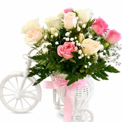 Pink and cream roses in a white tricycle basket with a pink ribbon