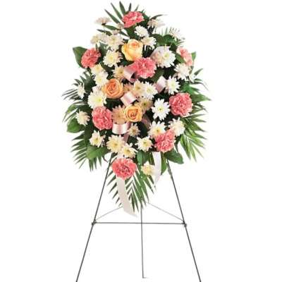 Gentle Thoughts Spray