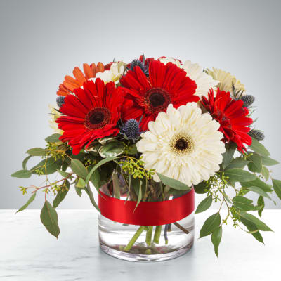 Bouquet of red, white, and orange gerbera daisies in a glass vase with a red ribbon
