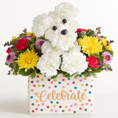 White teddy bear made of flowers in a polka-dot gift box with colorful blooms