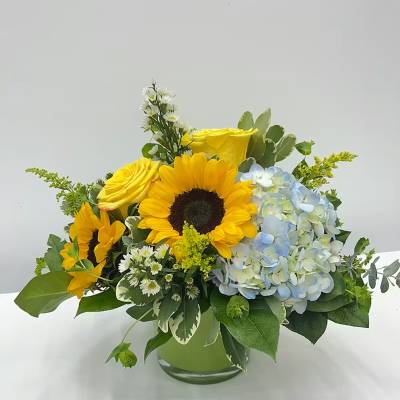 Sunlit Serenity