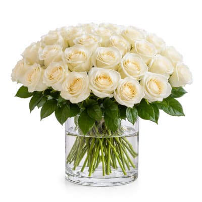 Cream roses arranged in a clear glass vase