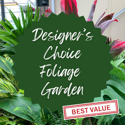 Designer’s choice foliage garden sign over tropical leaves