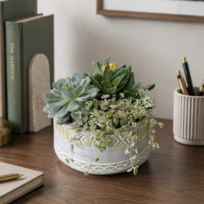 Sage & Stone Succulent Planter