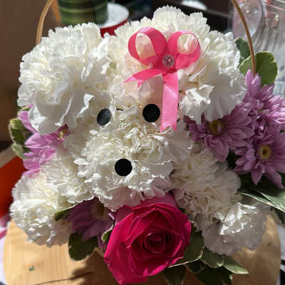 Sweet puppy
