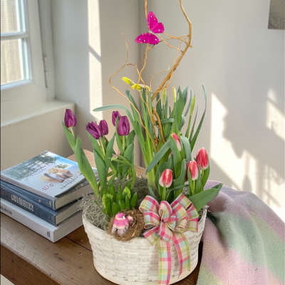 Spring Bulb Basket
