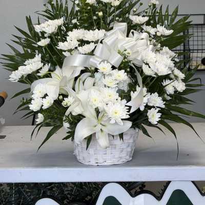 Cushion Sympathy basket