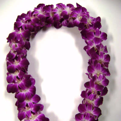 Purple orchid lei on a white background