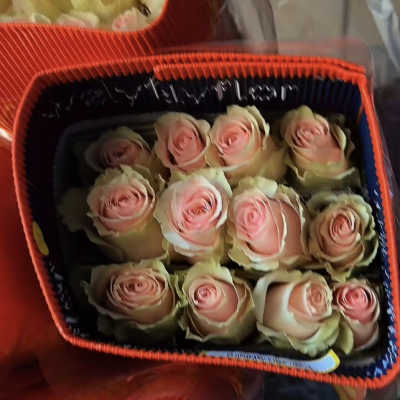 Wholesale: Pink