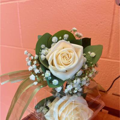 Two white roses with baby's breath in a clear box