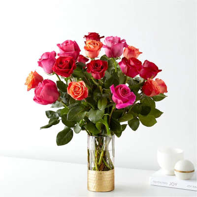 Vivid Rose Story