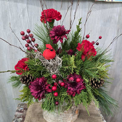 Christmas Cardinal