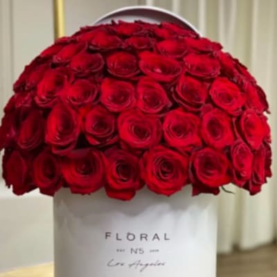 Modern red rose