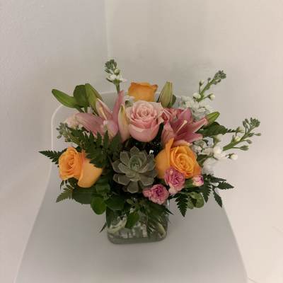Peach Blush Garden