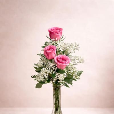 Three pink roses arranged in a clear glass vase with white filler flowers.