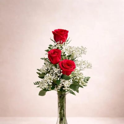 Three red roses arranged in a clear glass vase with white filler flowers