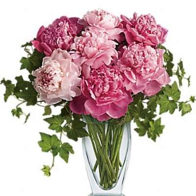 Pink peonies arranged in a clear glass vase