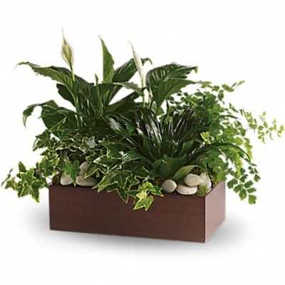 Rectangular planter with lush green houseplants and white blooms