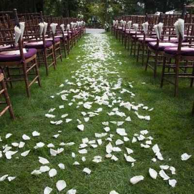 Ceremony Aisle Petals