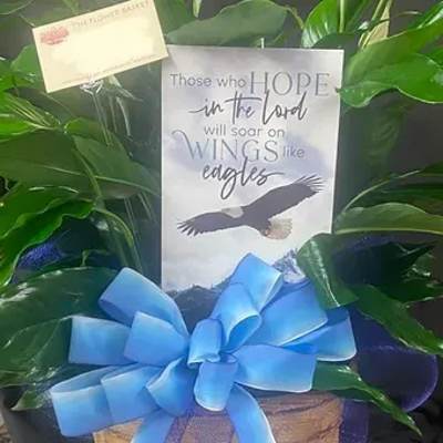 Green plant arrangement with a blue bow and a sympathy card