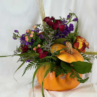 Orange Pumpkin Magic