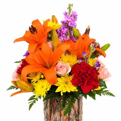 Orange lilies, yellow mums, pink roses, and red carnations in a bark-covered container