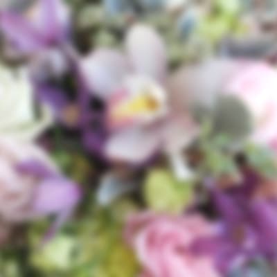 Blurred bouquet of pastel purple, pink, and white flowers