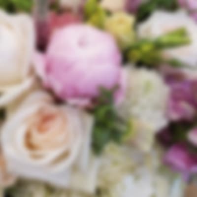 Soft pink and white roses in a close-up floral arrangement