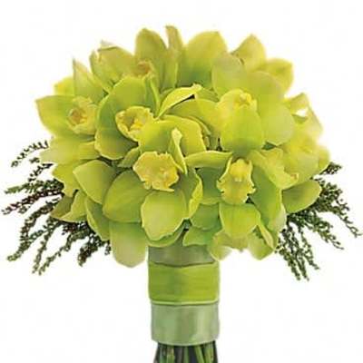 Hand-tied bouquet of light green orchids wrapped with green ribbon