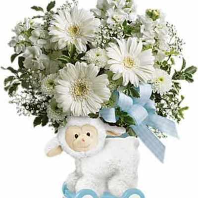 White daisy bouquet with blue bow in a lamb pull-toy container with blue wheels