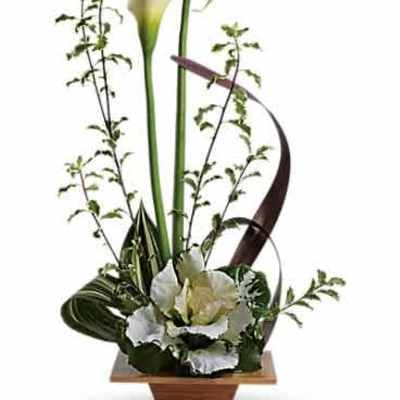 Modern arrangement of two tall white calla lilies with sculptural foliage in a low wooden dish