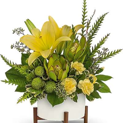 Yellow lilies and green protea in a white planter on a wooden stand