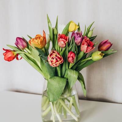 Mixed tulips in a clear glass vase