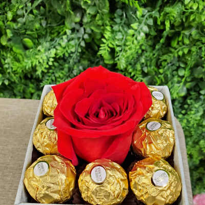 Sweet Single rose