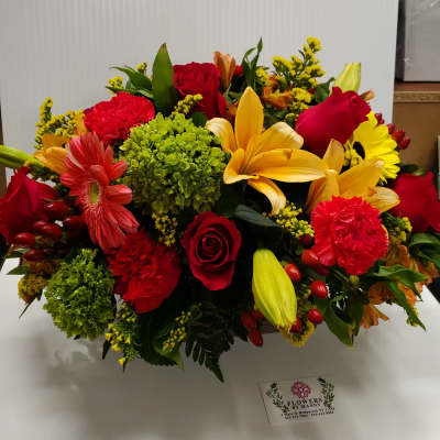 Perfect Sunkiss