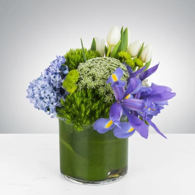 Lush Meadows by BloomNation™
