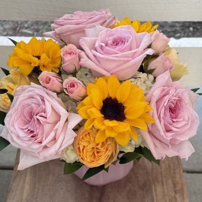 Roses and Sunshine