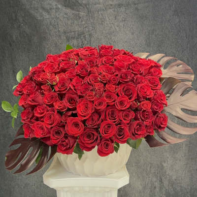 Red rose garden