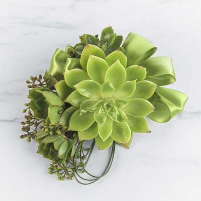 Succulent Corsage by PETALS™