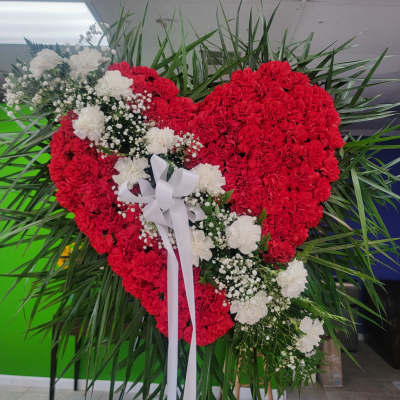 Bleeding heart