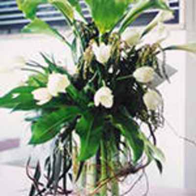 White flowers arranged in a tall vase with broad green leaves