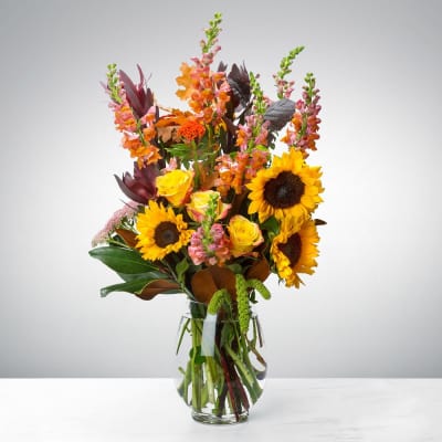 Hello Fall by BloomNation™