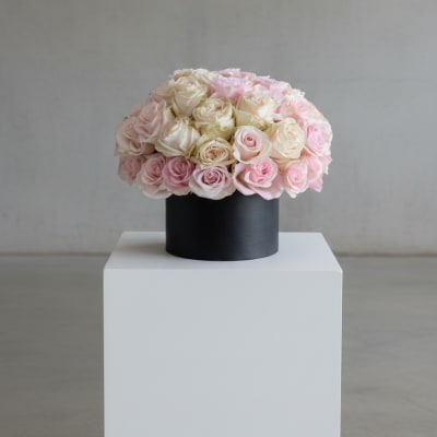 Pink Champagne