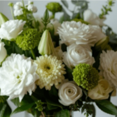 Designer's Choice - Simply White