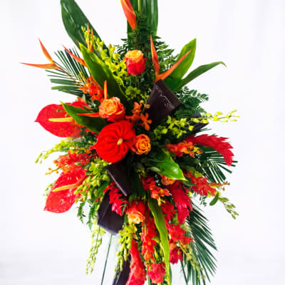 Paradise Remembrance