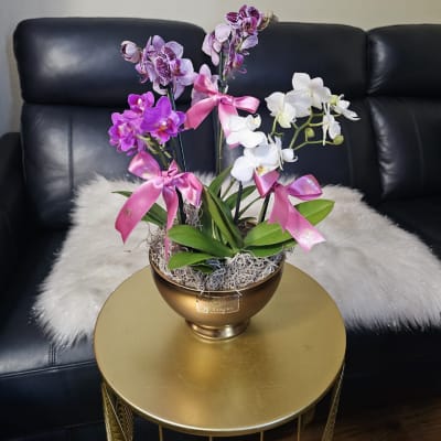 Potted orchids in pink, purple, and white in a gold bowl