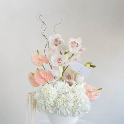 Blush Orchid Elegance