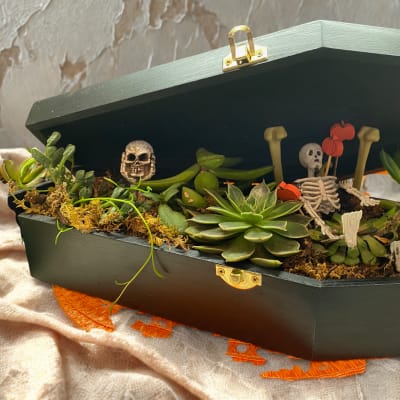 Coffin Succulent Planter