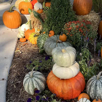 Pumpkins and potted mums arranged on a front porch for fall.